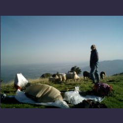 RRau_Latschenkopf_2006 (26)_Morgens.JPG